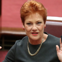 Federal budget sends voters to One Nation