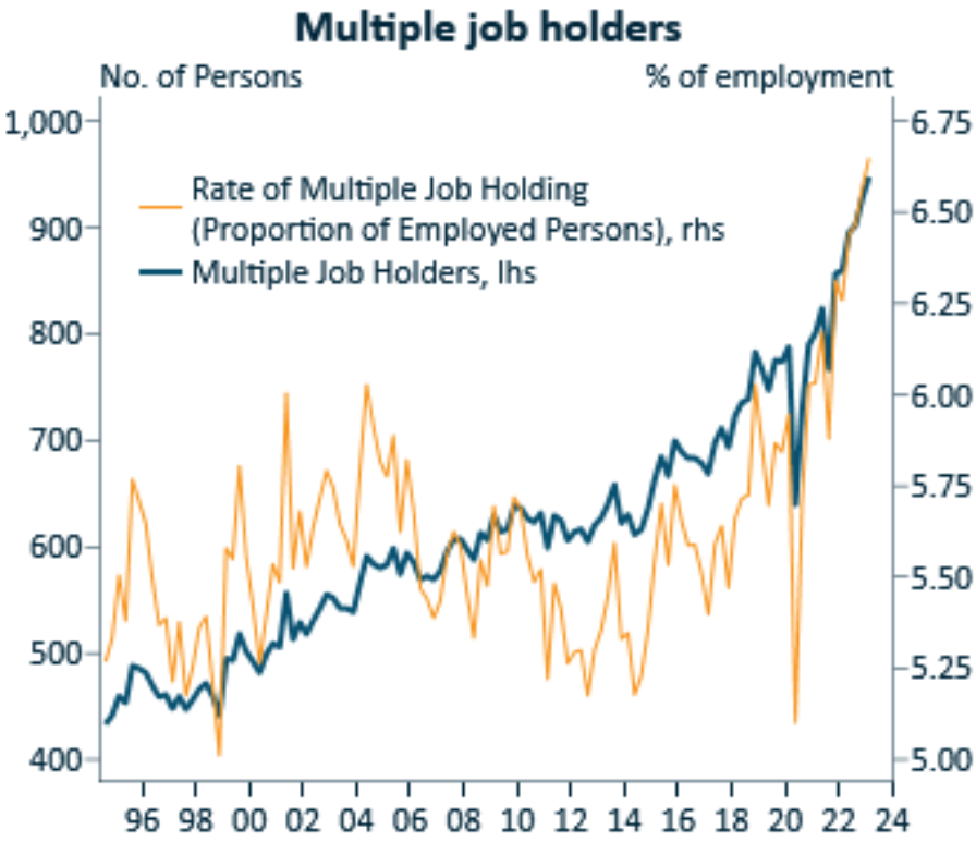 Multiple job holders