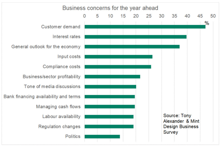 NZ Business concerns