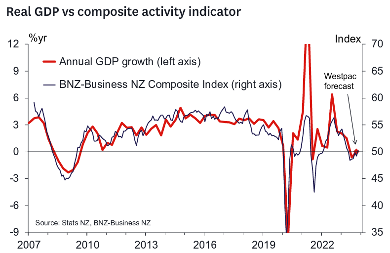 NZ activity indicators