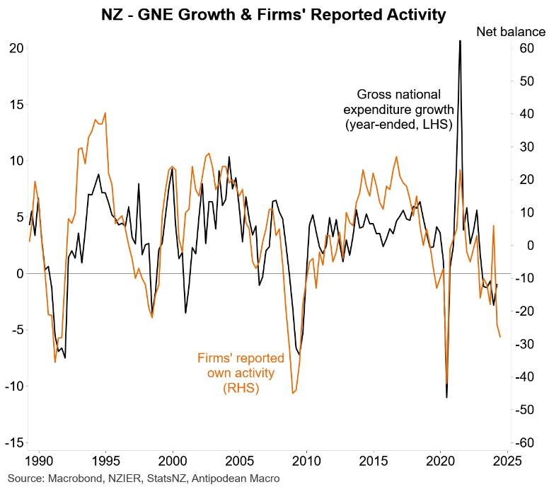 NZ firm reported activity