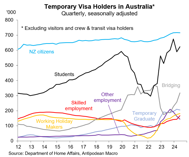 Temporary visas breakdown