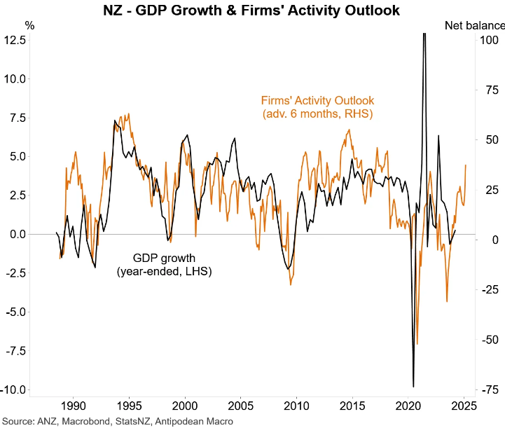 NZ firm activity outlook