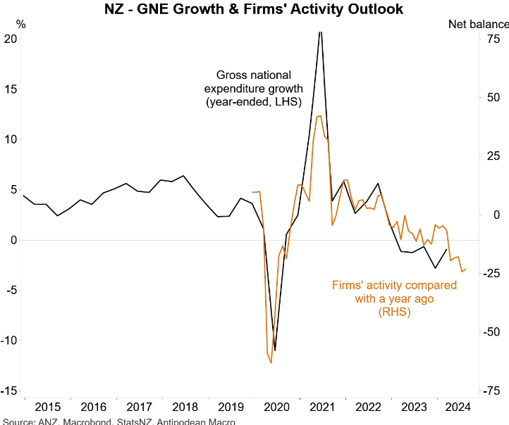 NZ Firm activity