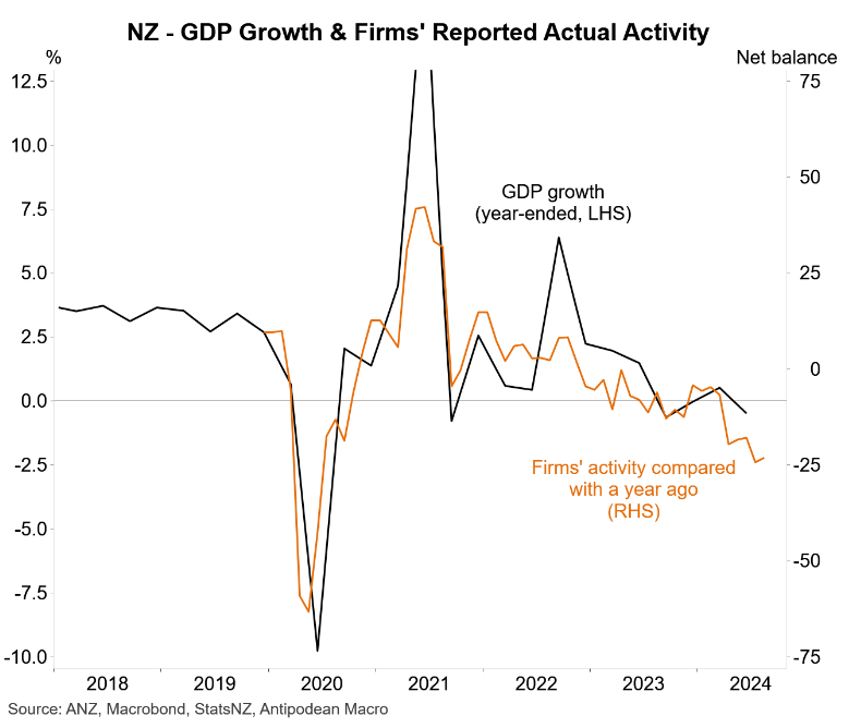 NZ firm activity