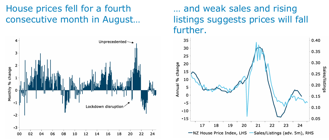 NZ housing indicators