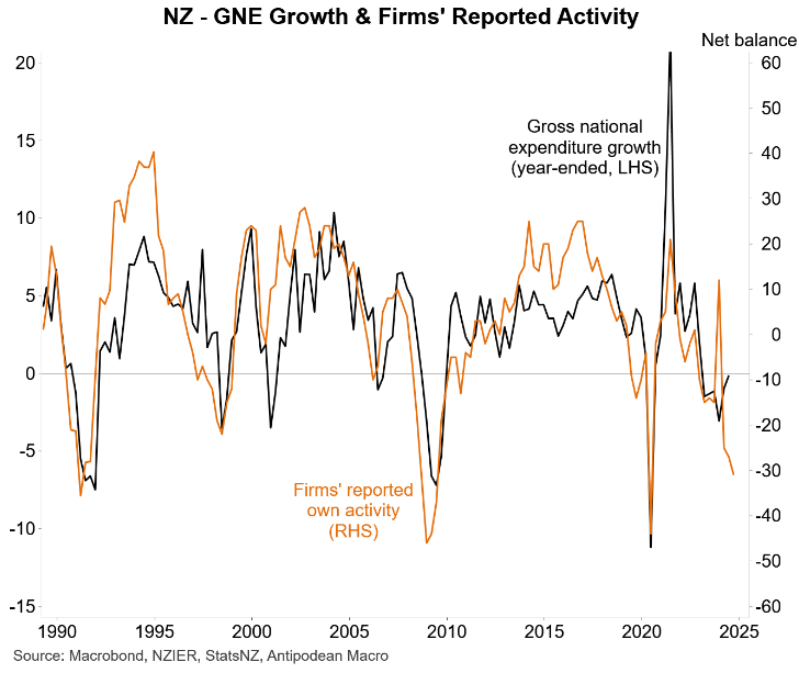 NZ firm activity