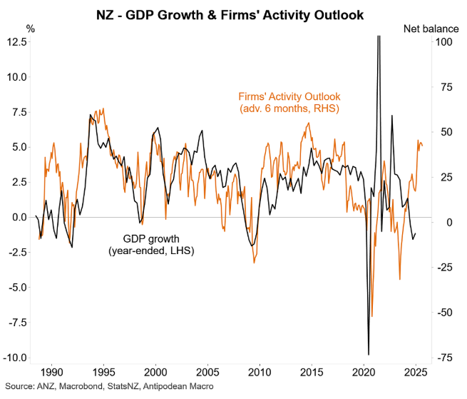 NZ firm activity