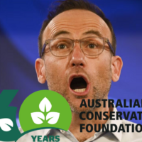 Adam Bandt returns to make ACF even less relevant