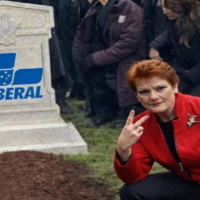 One Nation’s huge test