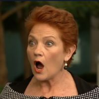 One Nation puts Labor into power everywhere and always