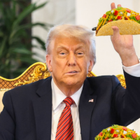 Stocks roar on the TACO