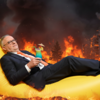 Why is Albo accelerating fuel consumption?