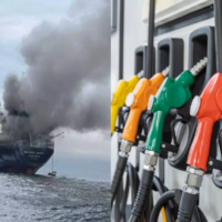 Idiotic policy has made scumbags of us all