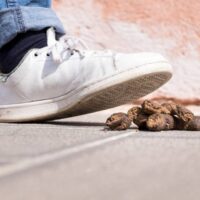 Trading Trump’s mind is like…