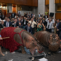 Gas hippos driven from parliament