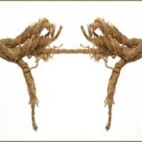 Labour market holds together in March