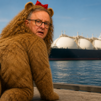 Power of Siberia 2 plugs into Aussie gas chaos
