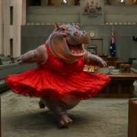 Albo’s gas reservation is perfectly useless
