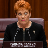 Did PM Pauline make economic sense