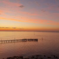 Weekend Reads and Videos:  11 – 12 July 2026