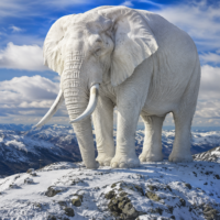 $40bn Snowy Hydro 2.0 to never finish?