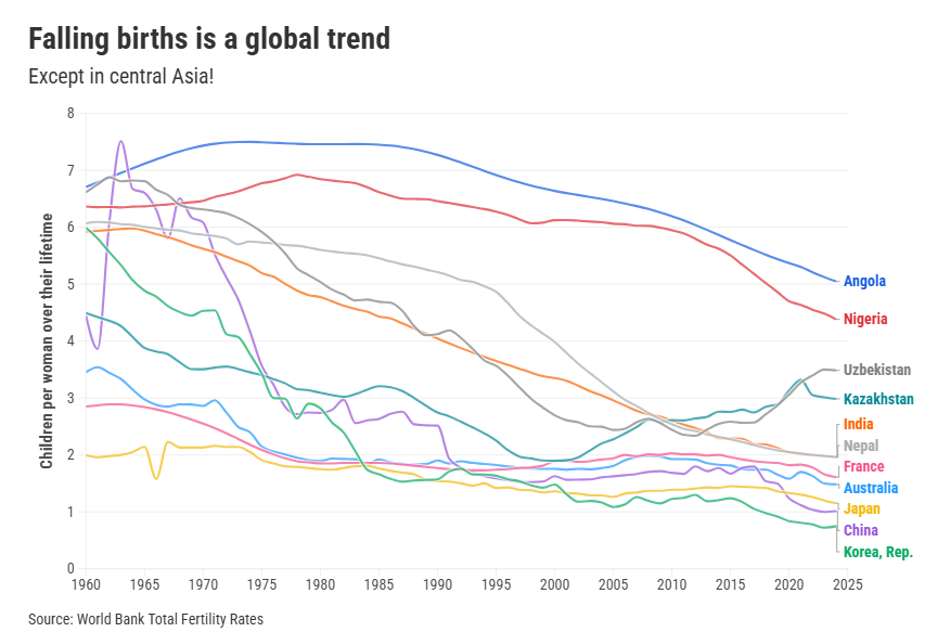 Birth rates