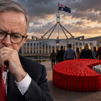 Labor loses over one in three of its 2025 voters