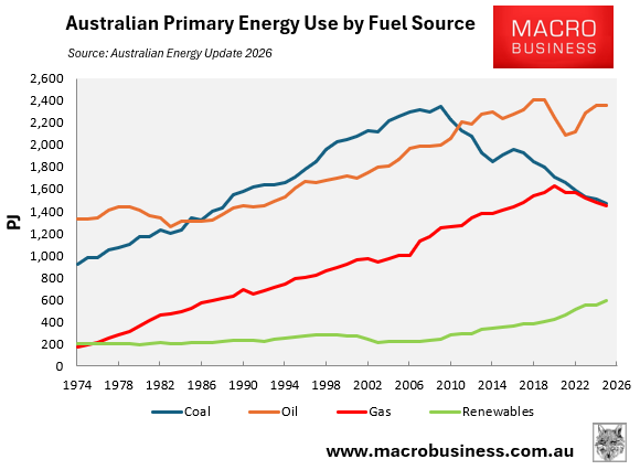 Primary energy use by fuel source
