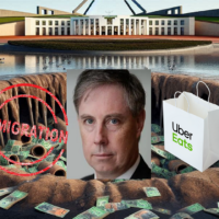 The SMH builds its own immigration budget lies