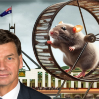 The Coalition’s temporary migration cut is more ‘sleight of hand’